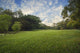 Green Grass Field City Wall Decal