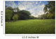 Green Grass Field City Wall Decal
