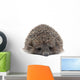 Sleepy Young Hedgehog Wall Decal