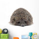 Sleepy Young Hedgehog Wall Decal