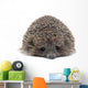 Sleepy Young Hedgehog Wall Decal