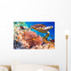 Hawksbill Turtle Eretmochelys Imbricata Wall Decal