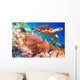 Hawksbill Turtle Eretmochelys Imbricata Wall Decal