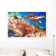 Hawksbill Turtle Eretmochelys Imbricata Wall Decal