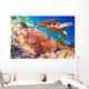 Hawksbill Turtle Eretmochelys Imbricata Wall Decal
