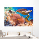 Hawksbill Turtle Eretmochelys Imbricata Wall Decal
