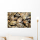 Japanese Littleneck Ruditapes Philippinarum Wall Decal