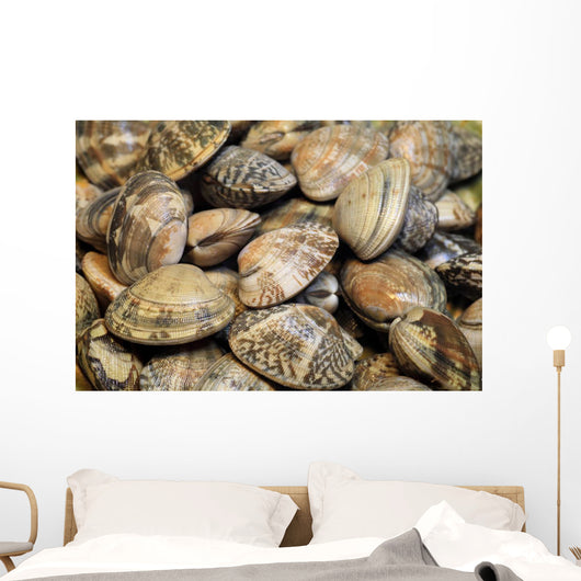 Japanese Littleneck Ruditapes Philippinarum Wall Decal