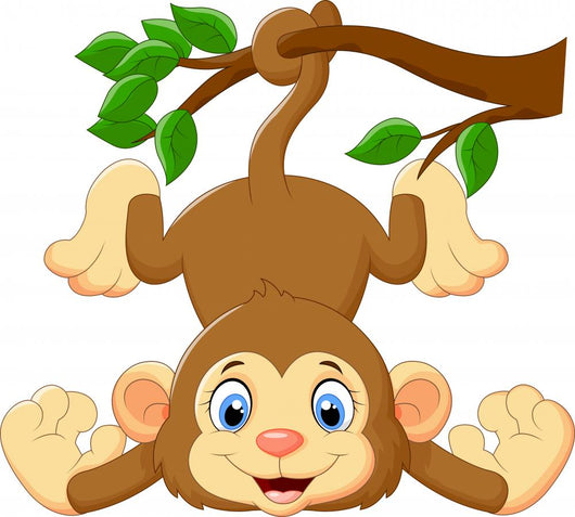 funny cartoon monkey