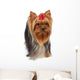 Dog with Large Beautiful Wall Decal