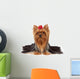Purebred Yorkshire Terrier Wall Decal