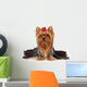Purebred Yorkshire Terrier Wall Decal