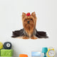 Purebred Yorkshire Terrier Wall Decal