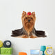 Dog with Bright Red Wall Decal
