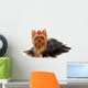 Yorkie with Professionally Groomed Wall Decal
