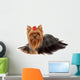 Yorkie with Professionally Groomed Wall Decal