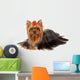 Yorkie with Professionally Groomed Wall Decal