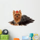 Yorkie with Professionally Groomed Wall Decal