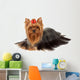Yorkie with Professionally Groomed Wall Decal