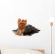 One Yorkshire Terrier White Wall Decal
