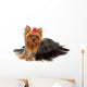 One Yorkshire Terrier White Wall Decal
