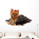 One Yorkshire Terrier White Wall Decal