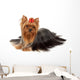 One Yorkshire Terrier White Wall Decal