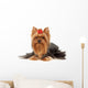 One Professionally Groomed Yorkshire Wall Decal