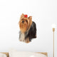 Yorkshire Terrier Looks Upward Wall Decal