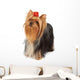 Yorkshire Terrier Looks Upward Wall Decal