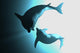 Dolphins Wall Decal Design 1