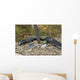 Essential Survival Equipment Wall Decal Design 1