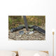Essential Survival Equipment Wall Decal Design 1