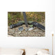 Essential Survival Equipment Wall Decal Design 1