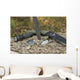 Essential Survival Equipment Wall Decal Design 1