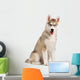 Siberian Husky Puppy Wall Decal Design 2