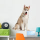 Siberian Husky Puppy Wall Decal Design 2