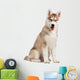 Siberian Husky Puppy Wall Decal Design 2