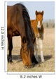 Adult and Young Horse Wall Decal