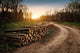 Deforestation Industry Wall Decal