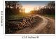 Deforestation Industry Wall Decal