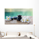 White Frangipani with Black Wall Decal