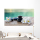 White Frangipani with Black Wall Decal