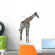 Portrait Giraffe White Wall Decal