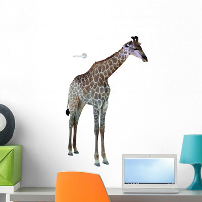 Portrait Giraffe White Wall Decal shown on a wall