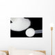 Creatine Monohydrate Black Wall Decal