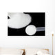 Creatine Monohydrate Black Wall Decal