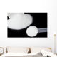 Creatine Monohydrate Black Wall Decal