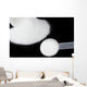 Creatine Monohydrate Black Wall Decal