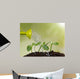 Watering Can Watering Young Wall Decal